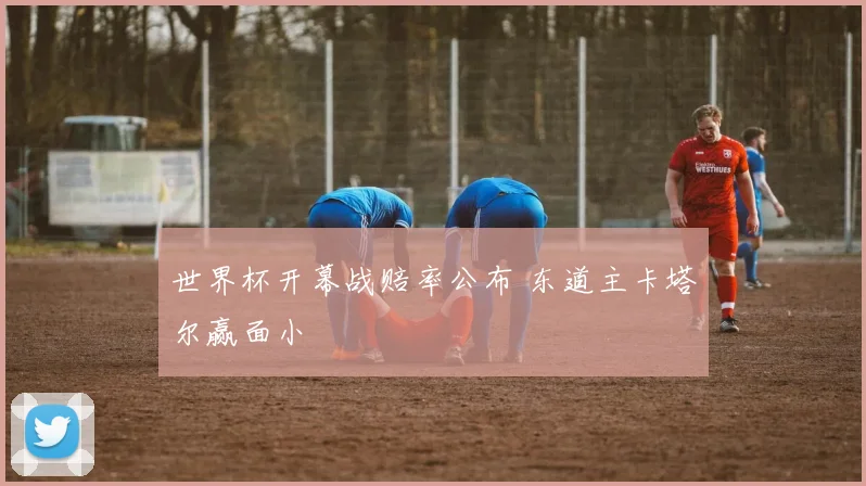 世界杯开幕战赔率公布 东道主卡塔尔赢面小